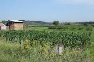 Булгаківка з panoramio.com