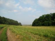 Грушківка з panoramio.com