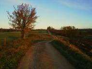 Краснопіль з panoramio.com