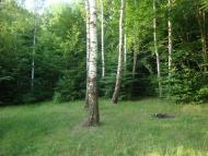 Бейзимівка з panoramio.com