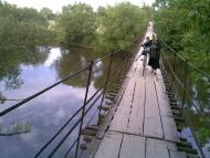 Вільха з panoramio.com