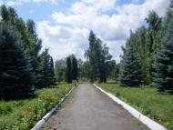 Степашки з panoramio.com