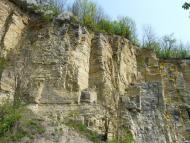 Рашків з panoramio.com