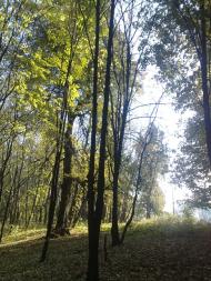 Шпитьки з panoramio.com