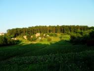 Зарванці з panoramio.com - Зарванцы