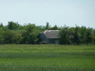 Кураж з panoramio.com