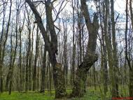 Клин з panoramio.com