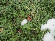 Мостове у лютому 2014