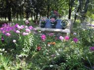 Селище з panoramio.com