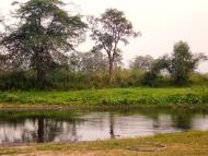 Кузнеці з panoramio.com