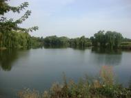 Серебринці з panoramio.com