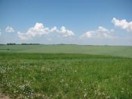 Великий Житин з panoramio.com