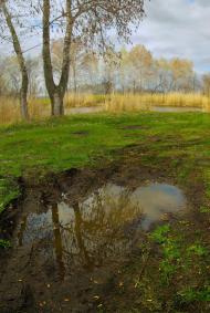 Булгаківка з panoramio.com
