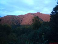 Березово з panoramio.com