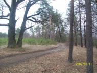 Осницьк з panoramio.com