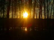 Волиця з panoramio.com