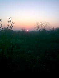 Новокам'янка з panoramio.com