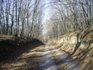 Синява з panoramio.com - Synyava