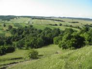 Квіткове з panoramio.com