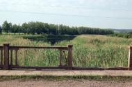 Булгаківка з panoramio.com