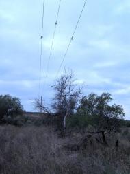 Старозаводське з panoramio.com