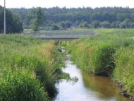 Старі Безрадичі з panoramio.com