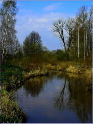 Бараші з panoramio.com