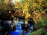 Краснопіль з panoramio.com