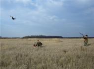 Красноліси з panoramio.com