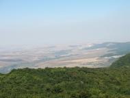 Земляничне з panoramio.com