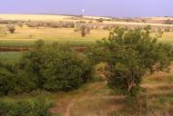 Кам'янка-Дніпровська з panoramio.com