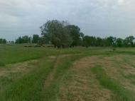 Єлизаветівка з panoramio.com