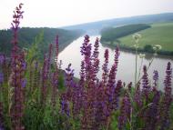 Рашків з panoramio.com