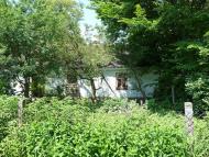 Кураж з panoramio.com