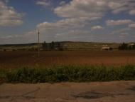 Талове з panoramio.com