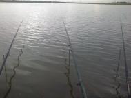 Куйбишеве з panoramio.com