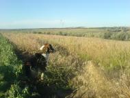 Новокам'янка з panoramio.com