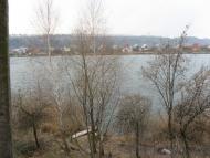 Великі Дмитровичі з panoramio.com