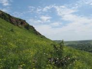 Перевальськ з panoramio.com