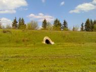 Макове з panoramio.com