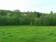 Шепіт з panoramio.com