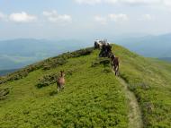 Кічерний з panoramio.com