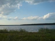 Макорти з panoramio.com