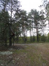 Градиськ з panoramio.com