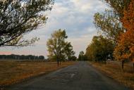 Новопілля з panoramio.com