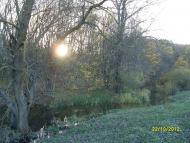 Коржова - Останні фото