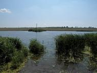 Дніпровка з panoramio.com