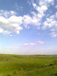 Сподобівка з panoramio.com