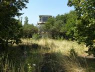 Петропавлівка з panoramio.com