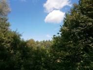 Снігурівка з panoramio.com